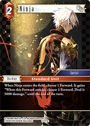 Ninja 12-013C