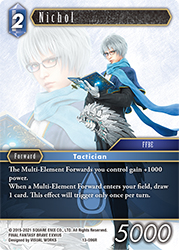 Nichol 13-096R