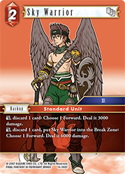 Sky Warrior 15-002C