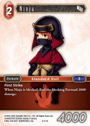 Ninja 2-013C
