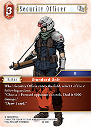 Security Officer 25-008C