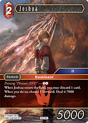 Joshua 29-010C
